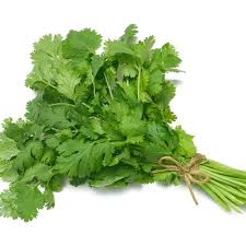 persil plat
