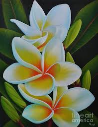 Plumeria Plumeria Painting By Paula L Plumeria Fine Art Prints And Posters Flower Painting Hawaiian Painting Tropical Art