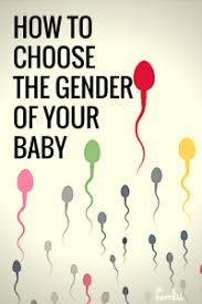 How To Have A Baby Boy A Gender Selection Infographic Famlii