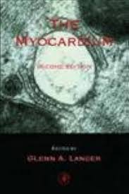 The Myocardium: Langer, Glenn A.: 9780124365704: Amazon.com: Books