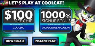 Play today and enjoy lots of unique slot machines with great coin and freespins bonuses! Cool Cat Casino No Deposit Bonus Blog Rxyk Nr55 Ru