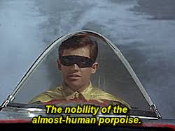 See more ideas about burt reynolds, burt, reynolds. Burt Ward Robin Gif Chapstick