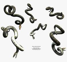 Snake eyes was never seen as a weapon just because he wears a mask. Jpg Transparent Snake Eyes Animal Clipart Crazywidow Snake Hanging Png Png Image Transparent Png Free Download On Seekpng