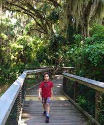 Great Educational Things To Do In Gainesville With Kids Growing Up Bilingual Gainesville Florida Travel Destinations Best Places In Florida