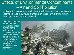 The polluted water could dissolve away some of the essential nutrients found in soil and change the structure of the soil. Ppt Effects Of Environmental Contaminants Air And Soil Pollution Powerpoint Presentation Id 6564969