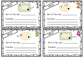 Give two ways that an animal cell differs from a plant? Plant And Animal Cell Task Cards Teaching Resources