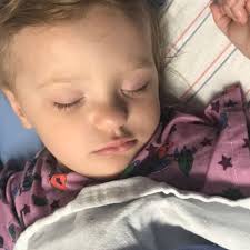 Fundraiser by Danielle Casteel Rachko : Renée needs Chemo after removal of  Brain Tumor.