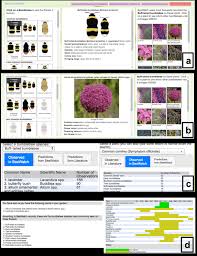 In humans, symptoms may include dizziness, confusion, fainting, and convulsions. The Planting For Pollinators Pfp Landing Page A B Download Scientific Diagram