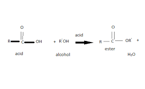 Image result for esterification
