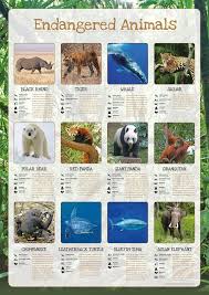 Pin By Meredith Levy On Gd Issue In 2020 Endangered Animals Endangered Animals Activities Endangered Animals List
