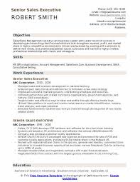 The section work experience is an essential part of your cloud computing resume. Senior Sales Executive Resume Samples Qwikresume