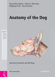 The canine pelvis is relatively small and narrow. Anatomy Of The Dog By Lena Kat Issuu