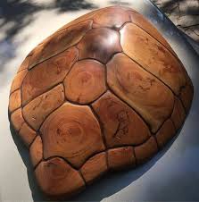 Beautiful Turtle Shell Made From Old Doug Fir By David Taber Intarsia Wood Wood Turtle Woodworking