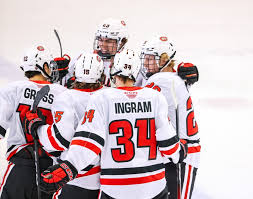 Image result for Emilia hockii