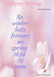 Maybe you would like to learn more about one of these? Flowers Canada Com In Toronto On We Are National Florist In Canada We Have Several Local Florists Shops In Canad Spring Flowers Wonderful Flowers Florist Shop