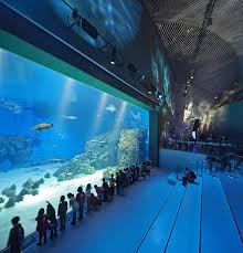 Projects Blue Planet Zoo Architecture Aquarium Architecture Public Aquarium