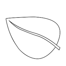 All these coloring sheets are chosen depending on their accuracy. Top 20 Free Printable Leaf Coloring Pages Online