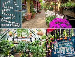 We did not find results for: Garden Centre House Plant Shop In London Battersea Flower Station