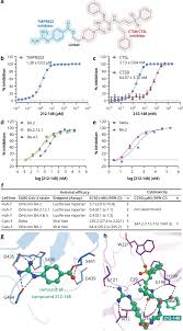 Structure-based discovery of dual pathway inhibitors for SARS-CoV-2 entry |  Nature Communications