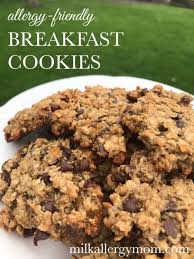 They're also a great way to use up sourdough discard. Simple Breakfast Cookies No Milk No Egg Milk Allergy Mom Recipes Breakfast Cookies Dairy Free Cookies Dairy Free Breakfasts