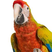 Find an exotic pet vet near you. Menomonee Falls Animal Hospital Brook Falls Veterinary Hospital