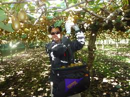 If you're travelling between peninsular malaysia and east malaysia (sometimes known as malaysian. List Of Jobs M Sians Can Do In New Zealand After Getting A Working Visa