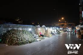 Những giọt mồ hôi đầu Xuân