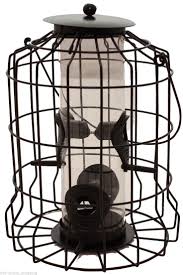 Bird Feeder Protection From Squirrels Details About Large Squirrel Proof Seed Feeder Bird Garden Safe Feeding Seeds Protection Birds With Images Bird Feeding Station Cages For Sale Wild Bird Food