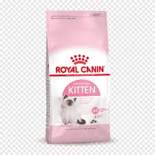 Kucing yang baru lahir masih memiliki anggota tubuh yang rapuh dan lemah, oleh sebab itu biasanya induk kucing hanya akan memberikan susu asi pada anak mereka. Royal Canin Ibu Bayi Makanan Kucing Kering Kucing Anjing Persia Royal Canin Hewan Peliharaan Anjing Suka Mamalia Png Pngegg