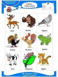 Ingilizce Hayvanlar Kelime Kartlari Hayvanlar Kartlar Ingilizce