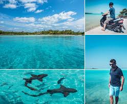 Voyage Aux Bahamas Pour La Premiere Fois Itineraire Conseils Videos