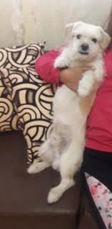 Huellitas De Amor Riobamba