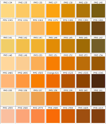 Shades Of Orange Color Chart Www Bedowntowndaytona Com