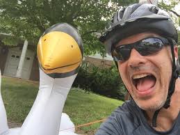 Building Bridges So beautiful and easy to get to by walk. It was just us  there today at 11