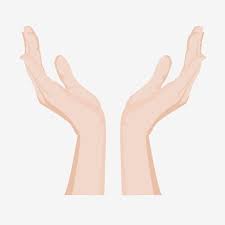 捧東西手勢手指姿勢雙手雙手捧東西的手勢 握手勢 手指手勢 手素材 psd格式圖案和png圖片免費下載 hand holding something clip art