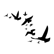 Comment dessiner un oiseau qui s'envole. Birds Blog Inspiration Black White Fly Tatouage Oiseau Oiseau Noir Dessin Au Crayon