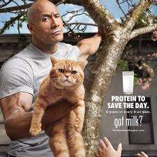 Pin By All Celebrities Star On Got Milk Got Milk Ads Got Milk The Rock
