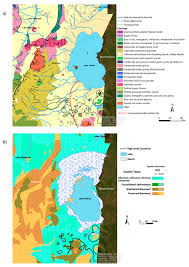 Image result for Tragia grandistipularis