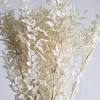 Bleach is as much of a toxin as it is a cleaner. 1