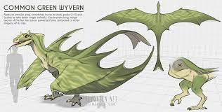 Common Green Wyvern Lisa Heschl On Artstation At Https Www Artstation Com Artwork 0aoby Wyvern Large Animals Dragon