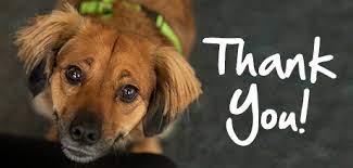 Message and data rates may apply. Donate Monthly Become A Guardian Aspca