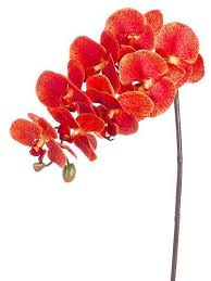Beautifully made orange 17 ifr artificial plastic wildflower bush. Artificial Phalaenopsis Orchid Spray In Flame Artificial Flowers And Plants Flower Bomb Silk Flowers