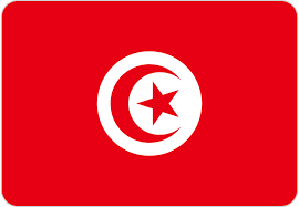Tunisia Flag icon SVG Vector & PNG Free Download | UXWing