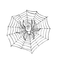 Displaying 4 black widow printable coloring pages for kids and teachers to color online or download. Spider Coloring Pages Surfnetkids
