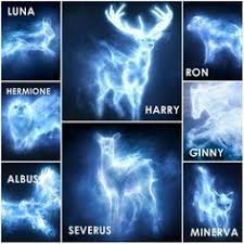 Harry Potter Patronus Google Search Harry Potter Patronus Harry Potter Spells Harry Potter Puns
