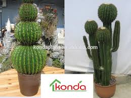 Cactus communications, a global scientific communications company, is offering pro bono author support and research communication services to while things have pretty much come to a standstill in china, our employees are working from home to continue providing support to researchers. Cactus Communications Work From Home Salary You Are Here