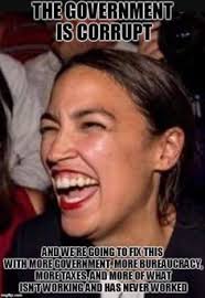 If owning a gun was a right, it would be in the constitution. Aoc Stupid Comments