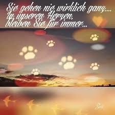 Regenbogenbrucke Regenbogenbrucke Trauer Um Hund Katzen Geburtstag