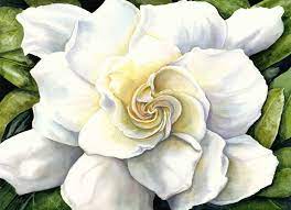 Resultats De Recherche D Images Pour Blue Gardenia Flowers Photos And Paintings Flower Painting Flower Art Watercolor Flowers