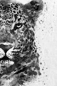 Black And White Nature Artwork Pin By Lois Bryan Photography And Dig On Wall Art Leopard Painting Black And White Nature Artists